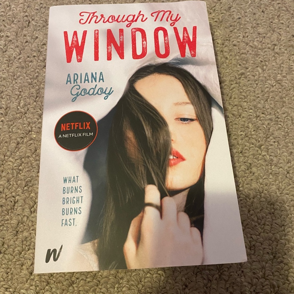THROUGH MY WINDOW BY ARIANA GODOY